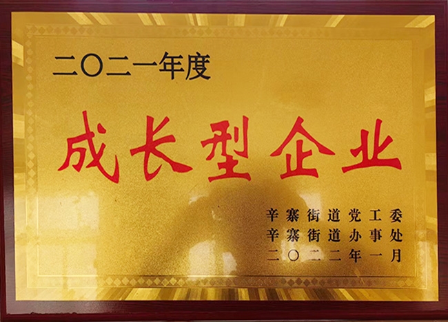 成長(zhǎng)型企業(yè)